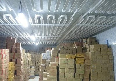 冷库里可以放多少水果？哪些冷库的建造需要手续？(图1)