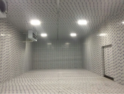 小型果蔬保鲜库建设