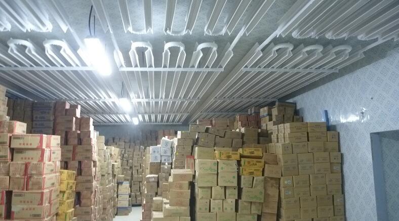 速冻冷库有哪些种类?建一个需要多少钱?(图1)