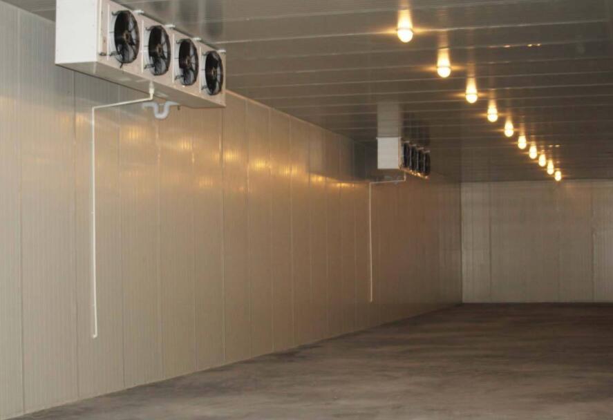 速冻冷库有哪些种类?建一个需要多少钱?(图2)