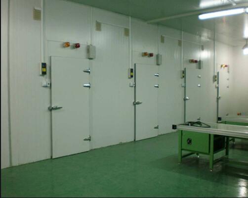 速冻冷库设计(图1) 速冻冷库设计(图1)