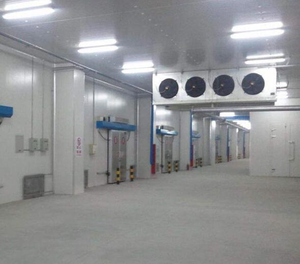 速冻冷库设计(图2) 速冻冷库设计(图2)